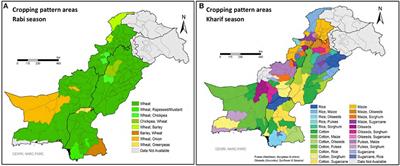 The water–energy nexus in irrigated agriculture in South Asia: Critical hotspots of irrigation water use, related energy application, and greenhouse gas emissions for wheat, rice, sugarcane, and cotton in Pakistan